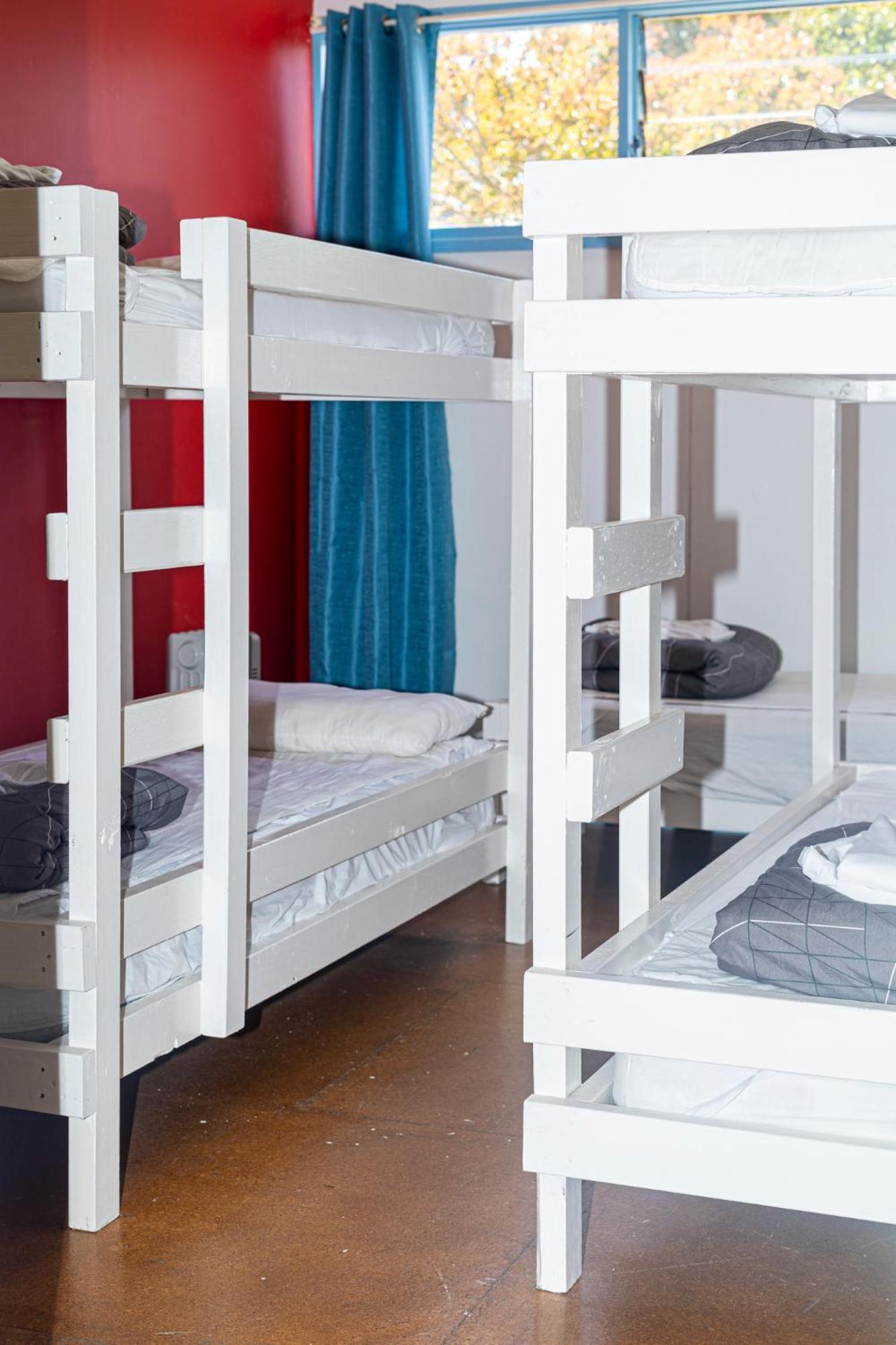Hostel Backpackers
